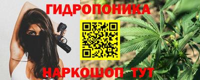 эйфоретик Краснодар